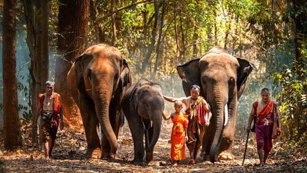 Изненадите на Пукет или за какво да гледаме